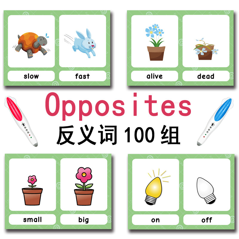 The 100 Groups Opposites Flash - đánh giá và giá Party Games New Year